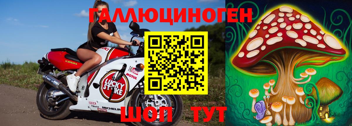 Псилоцибиновые грибы ЛСД Электрогорск