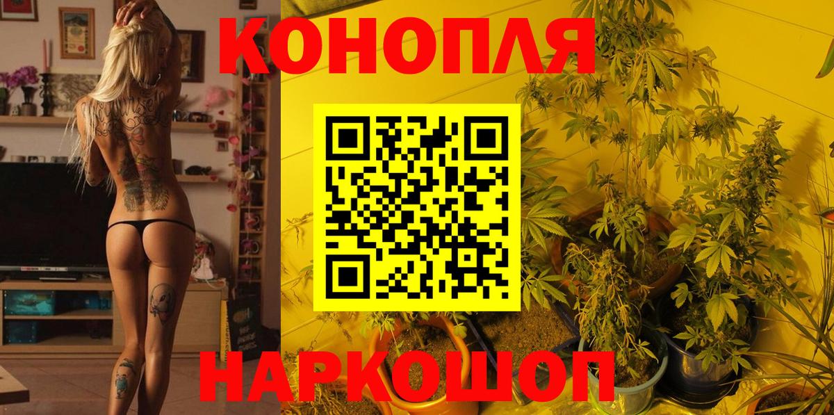 Марихуана OG Kush  Вход с VPN  Электрогорск  Конопля Ganja  Канабис MAZAR 